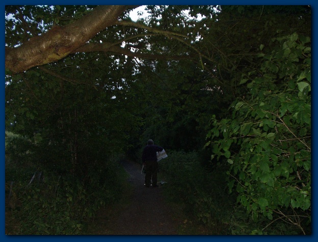 600x449 pixels (130K)